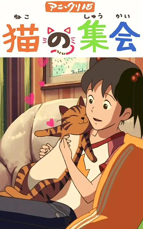 国产精品视屏
