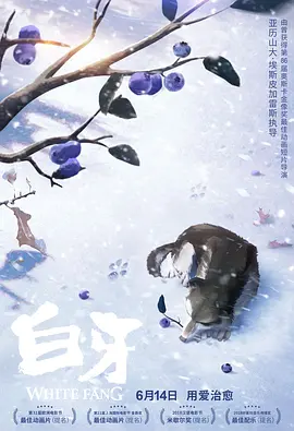 日韩中文字幕免费观看