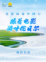 在线播放免费视频a