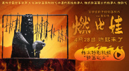 四虎欧美在线观看免费